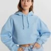 Gina Tricot Basic Cropped Hood Powder Blue
